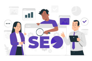 professional SEO services Houston